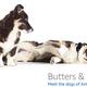 Image for article titled Amazon's Error Dogs, Ranked
